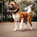 Photo of Cash