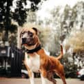 Photo of Cash
