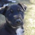 Photo of Spike