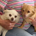 Photo of Paris & Possum