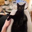 Photo of Moe