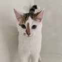 Photo of Felix
