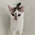 Photo of Felix