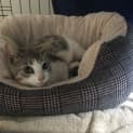 Photo of Chloe