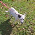 Photo of Petal