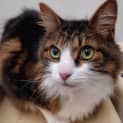 Photo of Stampy