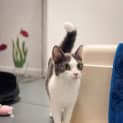 Photo of Clawdia