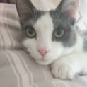 Photo of Clawdia