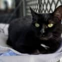 Photo of Miss Spot