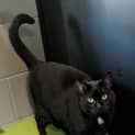 Photo of Miss Spot