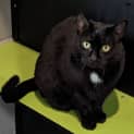 Photo of Miss Spot