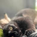 Photo of Miss Spot