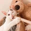 Photo of Peppa And Peanut