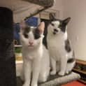 Photo of Peppa And Peanut