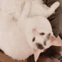 Photo of Peppa And Peanut