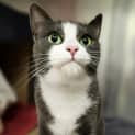 Photo of Delilah