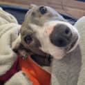 Photo of Jolene