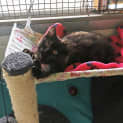 Photo of Zadie
