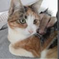 Photo of Fleurette