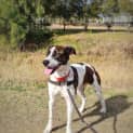 Photo of Mia