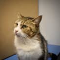 Photo of Mildred