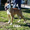 Photo of Emma