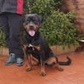 Photo of Onyx