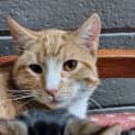 Photo of Duggie