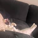Photo of Milly