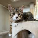 Photo of Tiny