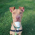 Photo of Wrigley