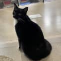 Photo of Sox