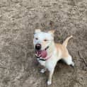 Photo of Harley