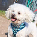 Photo of Chloe