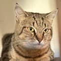 Photo of Jezzie