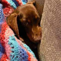 Photo of Larry