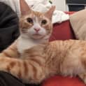 Photo of Charlie