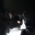 Photo of Duchess
