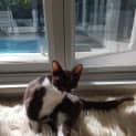 Photo of Bonsai