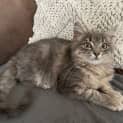 Photo of Sylvie