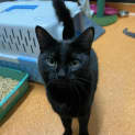Photo of Nyx