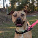 Photo of Coco