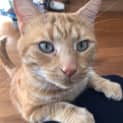 Photo of Vlad