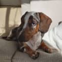 Photo of Reg