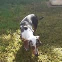 Photo of Reg