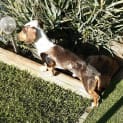 Photo of Reg