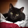 Photo of Peggie 
