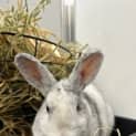 Photo of Milky