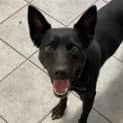 Photo of Betty