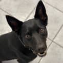 Photo of Betty
